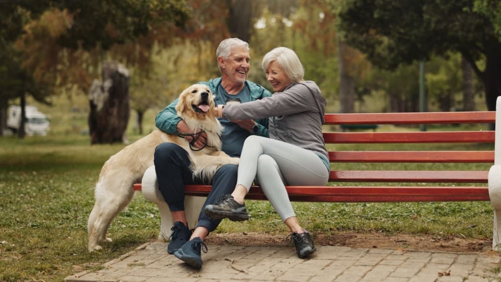 Dog, park and old couple on bench.